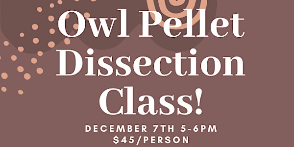 Owl Pellet Dissection Class