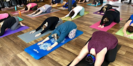 All-Levels Yoga Class at Pioneer Cleveland - [Bottoms Up! Yoga & Brew]