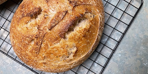 How to: Sourdough Bread  - Learn the basics of baking sourdough bread!