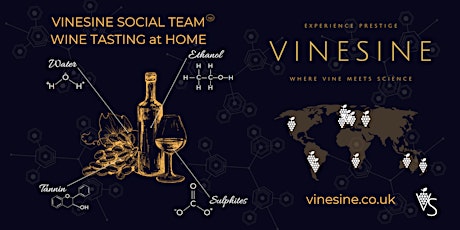 Wine tasting with Vinesine