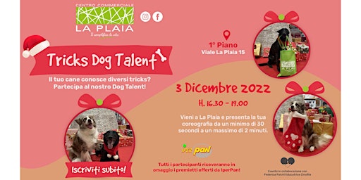 La Plaia Tricks Dog Talent