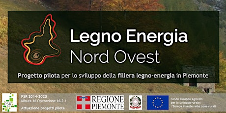 Immagine principale di Legno Energia Nord Ovest | Evento di presentazione 