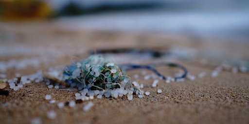Dive in: The Big Microplastic Survey