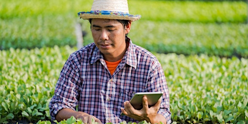 Leveraging Digital Solutions to Help Scale Up the Agricultural Transition