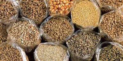 LA COLTIVAZIONE E L’USO DEI CEREALI LA COLTIVAZIONE E L’USO DEI CEREALI