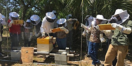 Hauptbild für Intro to Beekeeping | Become a Beekeeper 2-day Hands-On Workshop