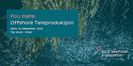FoU-møte: Offshore Tareoppdrett