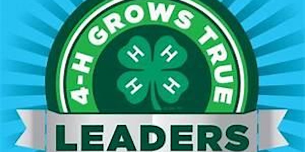 4-H Volunteer In Preparation (VIP) Training - December 13, 2022