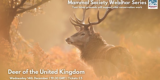 Deer of the United Kingdom - TMS Webinar