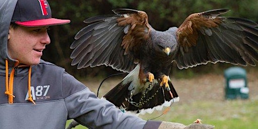 BOOKS 'N BIRDS with The Ohio School of Falconry