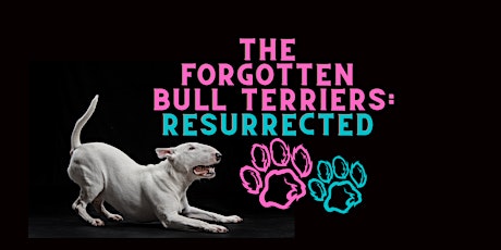 The Forgotten Bull Terriers: Resurrected  primärbild