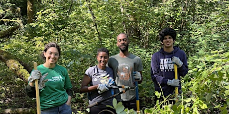 Forest Stewardship at Watershed Park