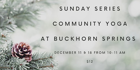 Community Yoga Sunday Series at Buckhorn Springs