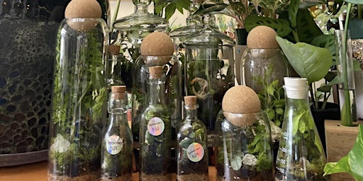 Tiny Ecosystems: Making Terrariums With the Terrorium Shop