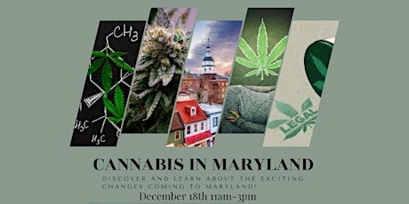 Cannabis Changes coming to Maryland