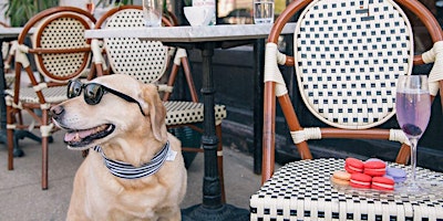 Image principale de Training Class - Community Ambassadors