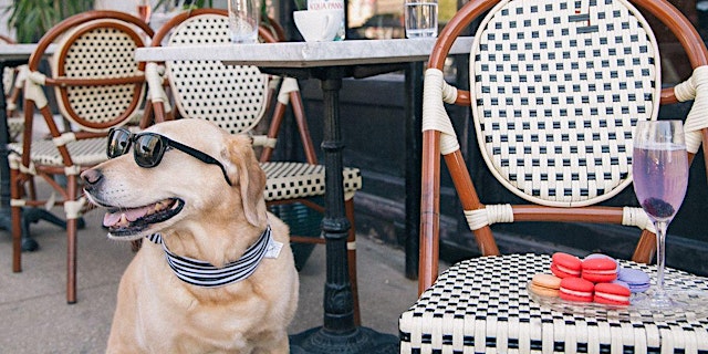 Image principale de Training Class - Community Ambassadors