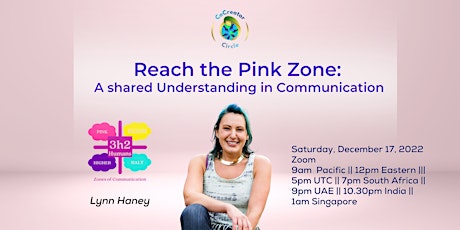Reach the Pink Zone: A shared Understanding in Communication