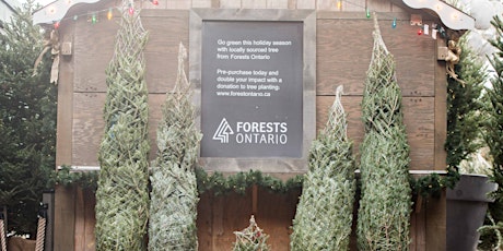 Forests Ontario's Christmas Tree and Wreath Pick Up Event