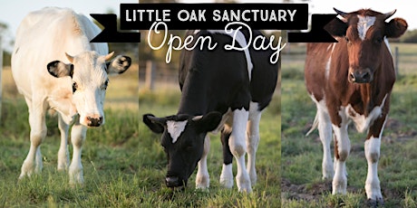 March 24th Open Day - Little Oak Sanctuary primary image