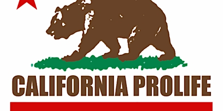  California Walks for Life and Regional Meetings primary image