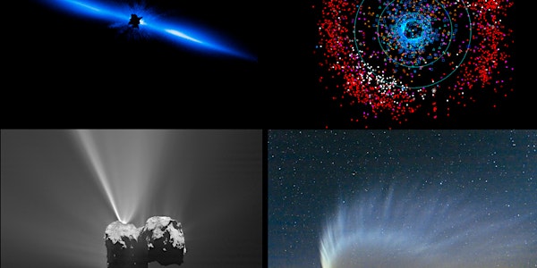 From the Outer to the Inner Solar system: The Origin & Evolution of Comets