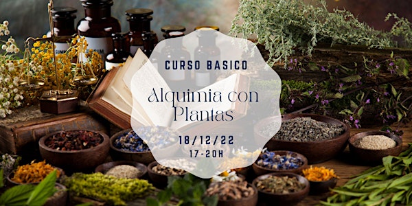 Curso elemental de Alquimia con Plantas