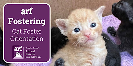 Online Cat Foster Orientation 12/07/22