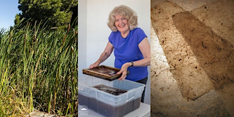 Papermaking from Scratch with Local Plants with Jane Ingram Allen