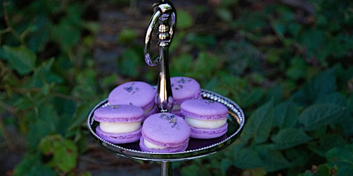 Annie's Signature Sweets Virtual Lavender  French Macaron class-gluten free