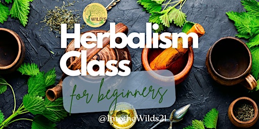 Beginner Herbalism Online Class for Adults
