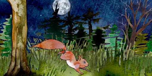 Squirrel and the Midnight Forest - Inclusive Sensory Film for SEND Families