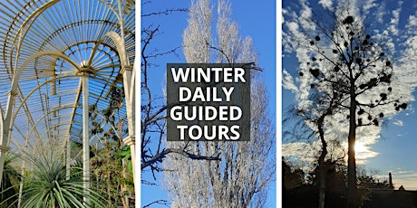Winter Daily Guided Tours of the National Botanic Gardens