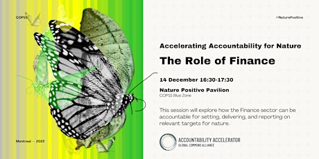 Accelerating Accountability for Nature: The Role of Finance