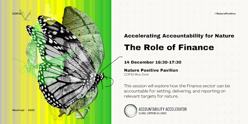 Accelerating Accountability for Nature: The Role of Finance