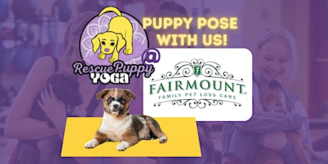 Rescue Puppy Yoga at Fairmount Cemetery!