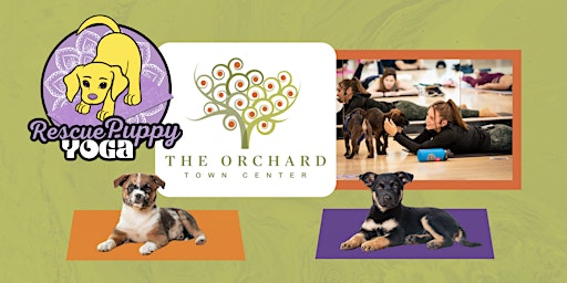 Rescue Puppy Yoga at The Orchard Town Center!