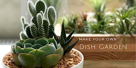 Make Your Own Succulent Dish Garden primary image