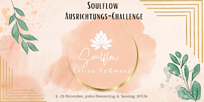 Soulflow Ausrichtungs-Challenge