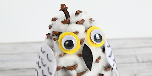 Snowy Owl Crafts (Children 6-12)