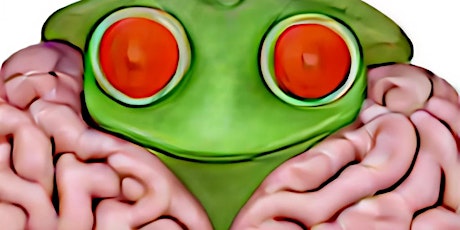 Brain Frogs Present: A Filmed Sketch Special