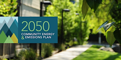 DNV 2050 Community Energy & Emissions Plan: Stakeholder Dialogue primary image