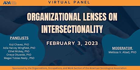 Organizational Lenses on Intersectionality