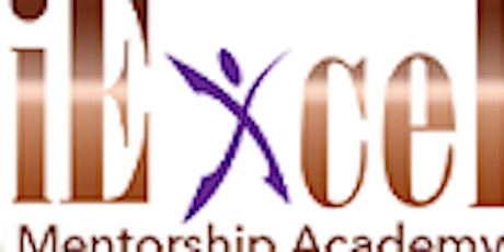 iExcel Mentorship with Dr. Taketa Williams primary image