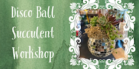 Copy of Disco Ball Succulent Workshop