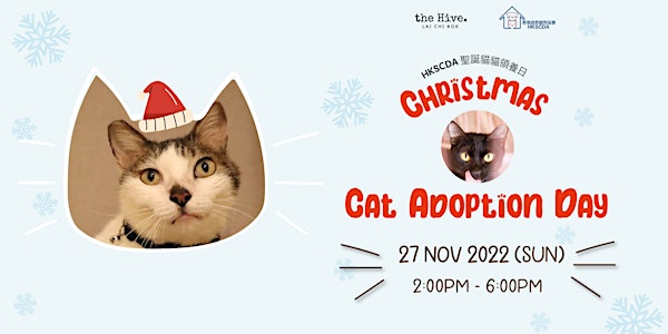 HKSCDA 聖誕貓貓領養日 Christmas Cat Adoption Day