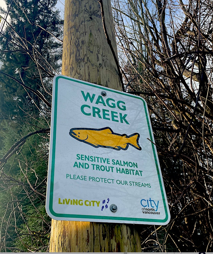 Community Rain Garden Build to Protect North Vancouver’s Wagg Creek image