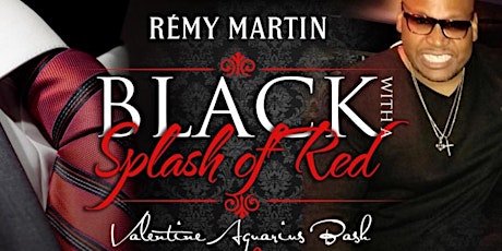 BLACK WITH A SPLASH OF RED VALENTINE'S AQUARIUS BASH primary image