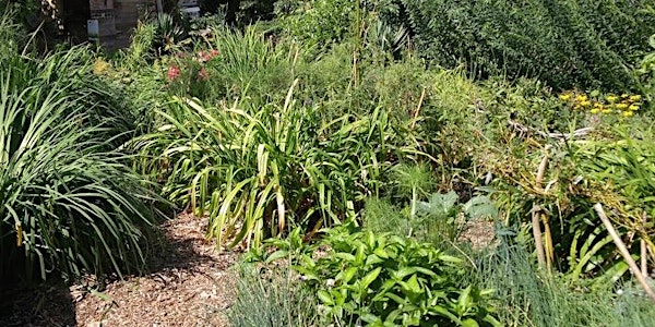 August Stewardship at MOP