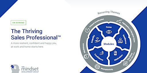 Copy of The Thriving Sales Professional Framework -Taster session